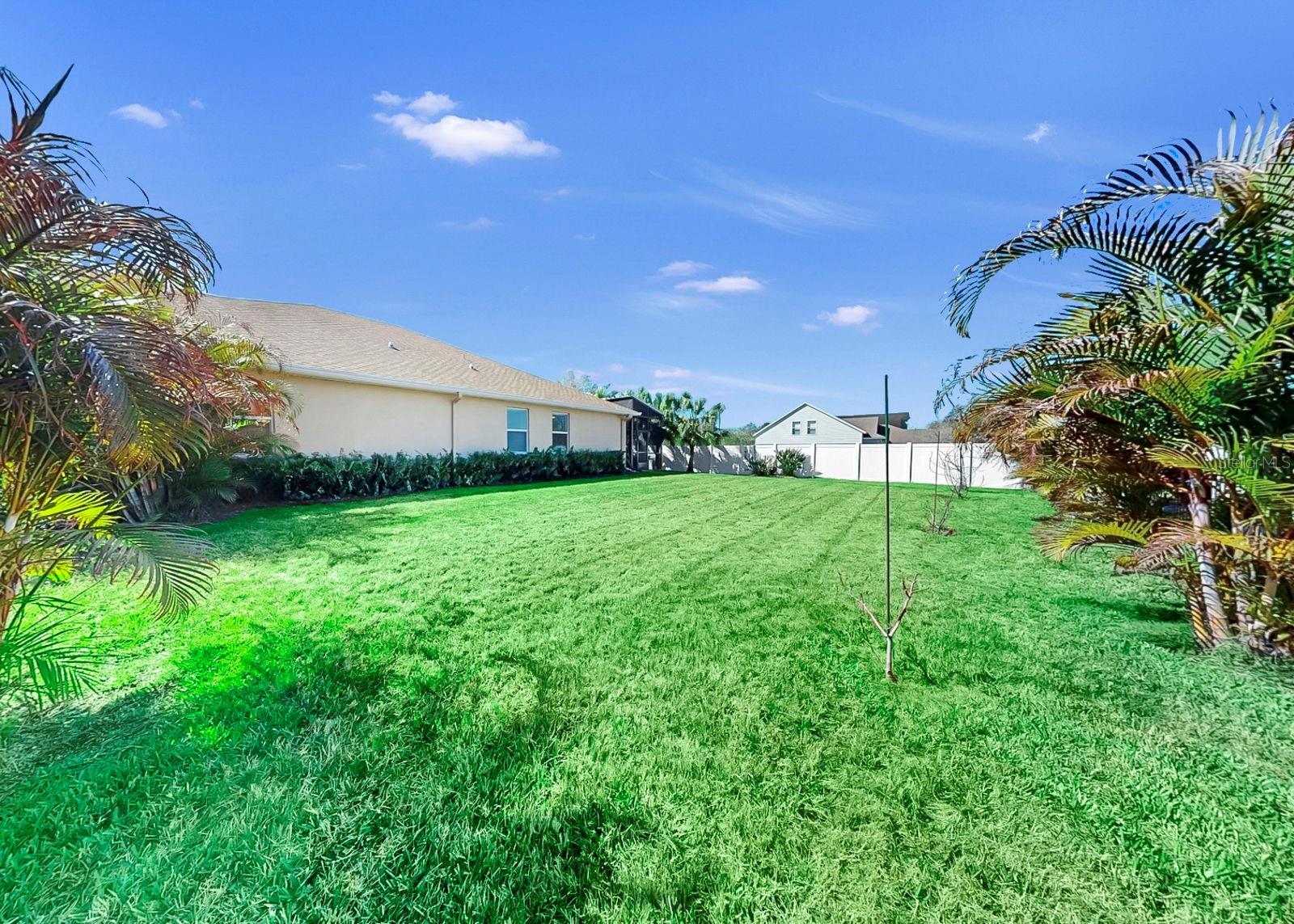 OAKLEAF HAMMOCK PH II - Residential