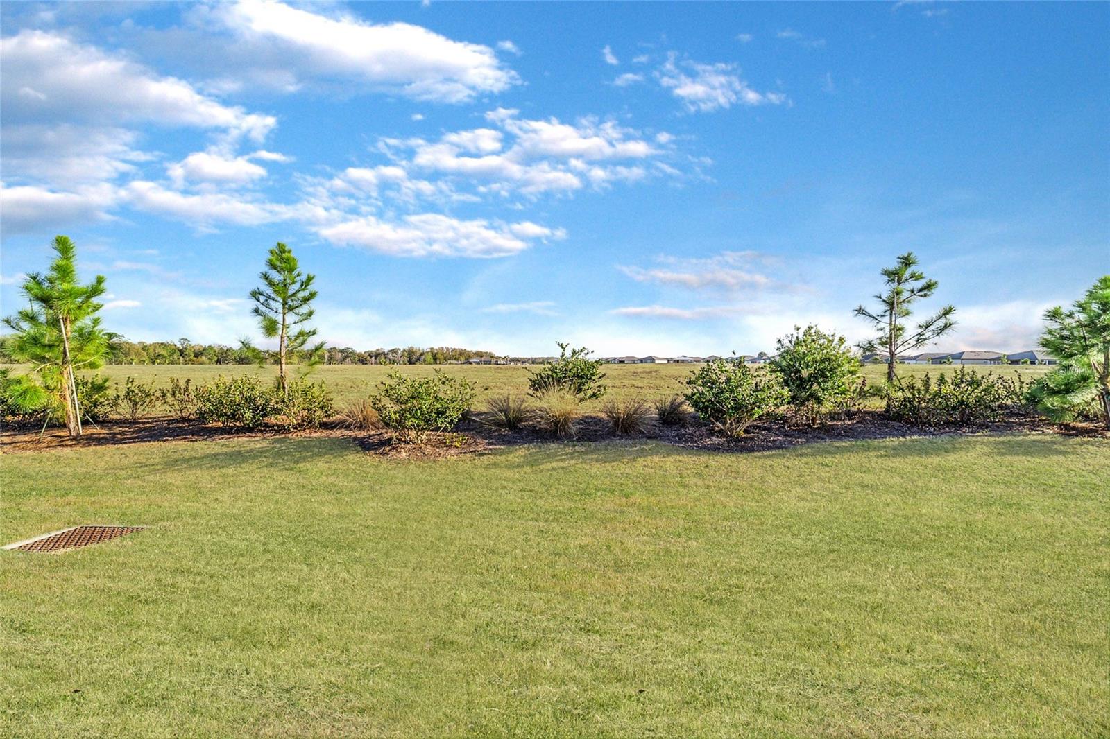 STONE CREEK - Residential