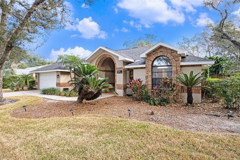 Photo of 1619 Palace Court, Valrico, FL 33594 (MLS # TB8453378)