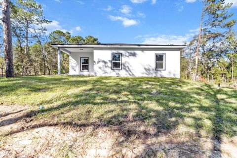 A home in CITRUS SPRINGS