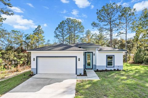 A home in CITRUS SPRINGS