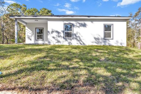 A home in CITRUS SPRINGS