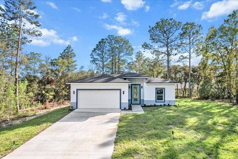 A home in CITRUS SPRINGS