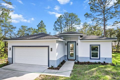 A home in CITRUS SPRINGS