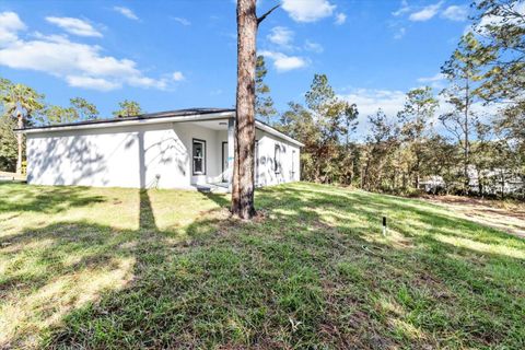 A home in CITRUS SPRINGS