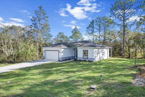 A home in CITRUS SPRINGS