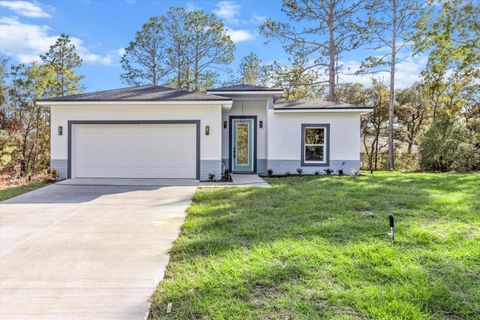 A home in CITRUS SPRINGS