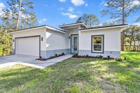 A home in CITRUS SPRINGS