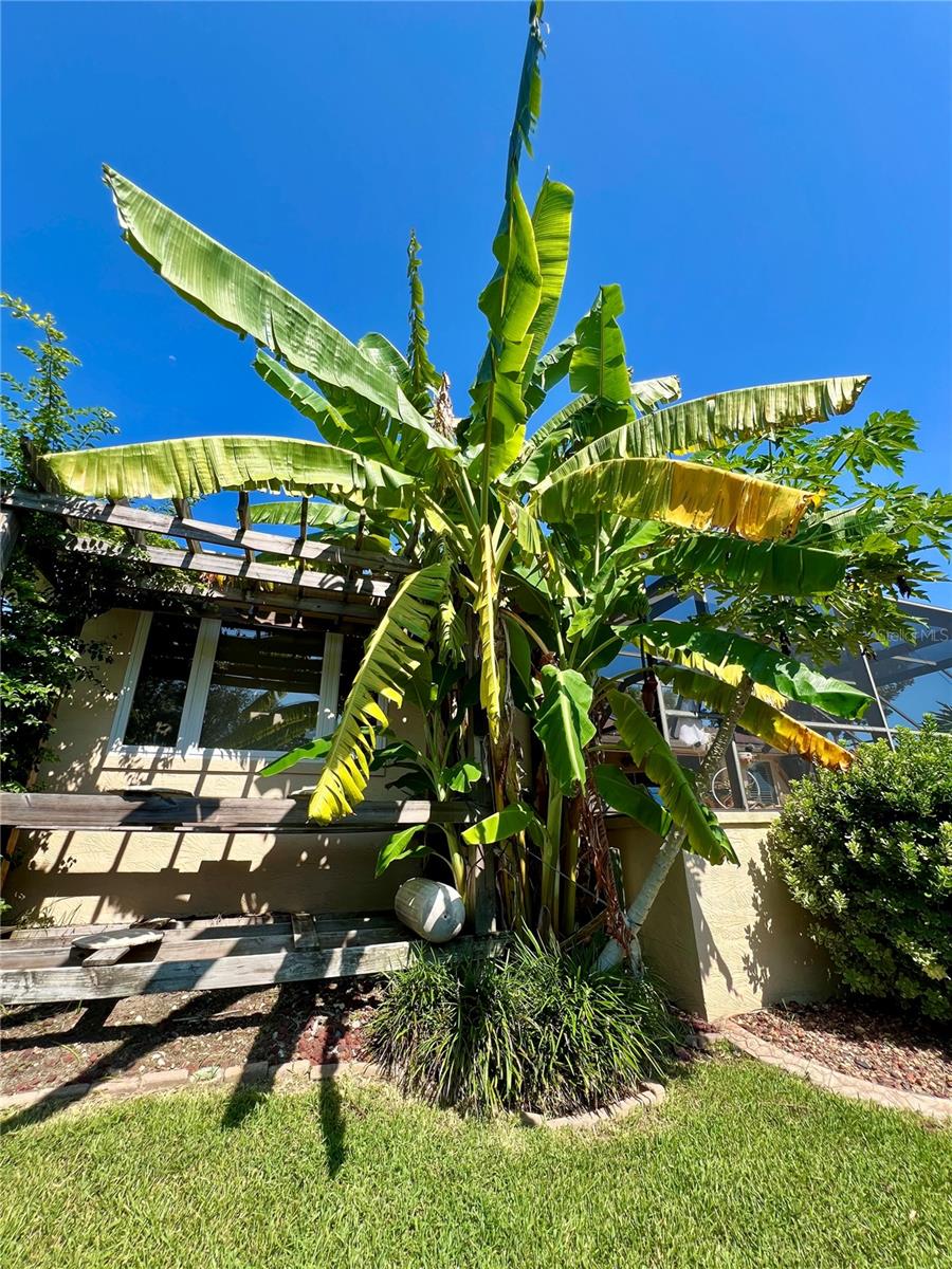 NOT IN SUBDIVISION - Residential