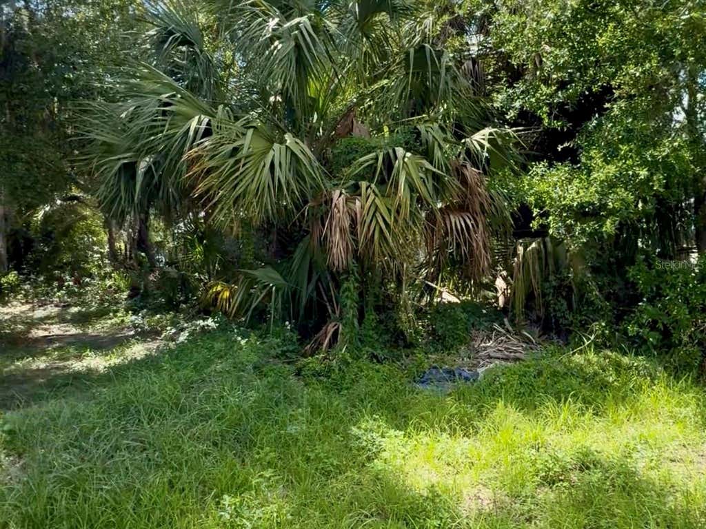 Photo of S Franklin Street, Plant City, FL 33563 (MLS # TB8529761)