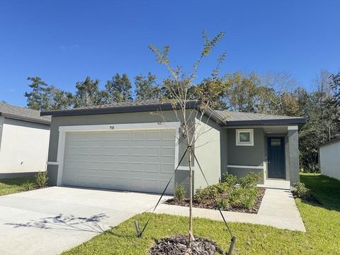 Photo of 7518 Mia Vine Drive, Brooksville, FL 34601 (MLS # O6328979)