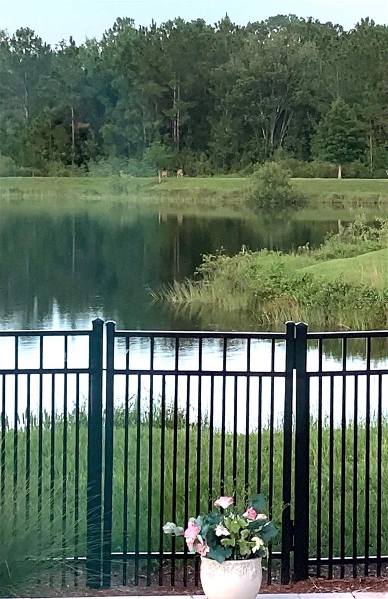 HARMONY NBRHD I - Residential