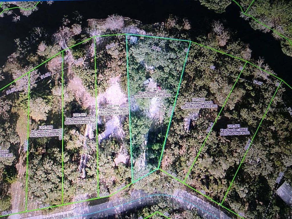 Photo of 33039 Round Table Road, Dade City, FL 33523 (MLS # TB8452138)