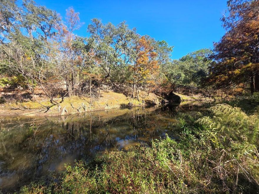 Riverfront parcel that is ready for you to build on or place a manufactured home on it.   Beautiful partially cleared lot with almost 100 Ft of River frontage.  This lot HAD a small mobile home that was removed but the large porch and storage area & covered cooking area remain as well as the power pole, well and septic (seller does not warrant any of those items).  perfect for a weekend retreat or your future homesite.  come check it out.