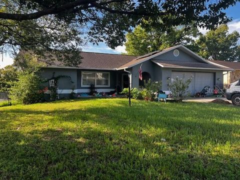 Photo of 216 W Goldentuft Court, Beverly Hills, FL 34465 (MLS # A4666775)