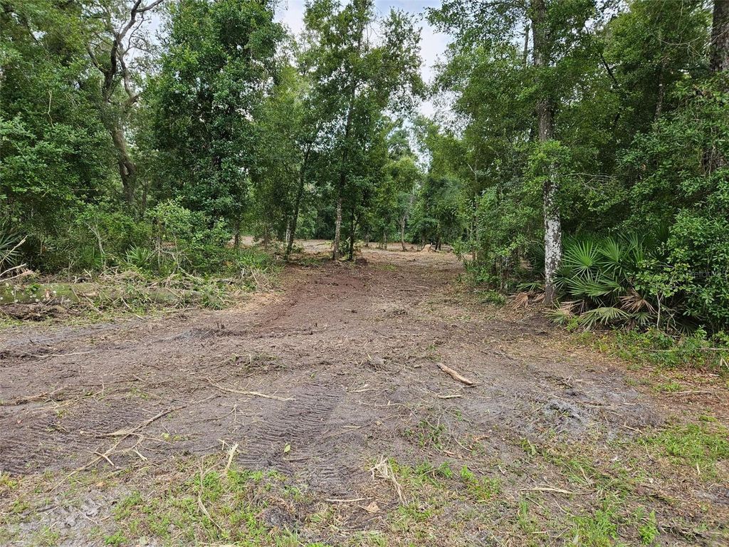 Photo of 40th, Webster, FL 33597 (MLS # G5108297)