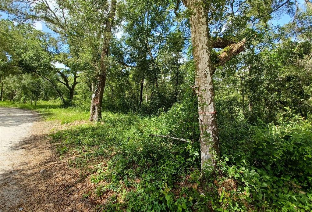 Photo of 40th, Webster, FL 33597 (MLS # G5108297)