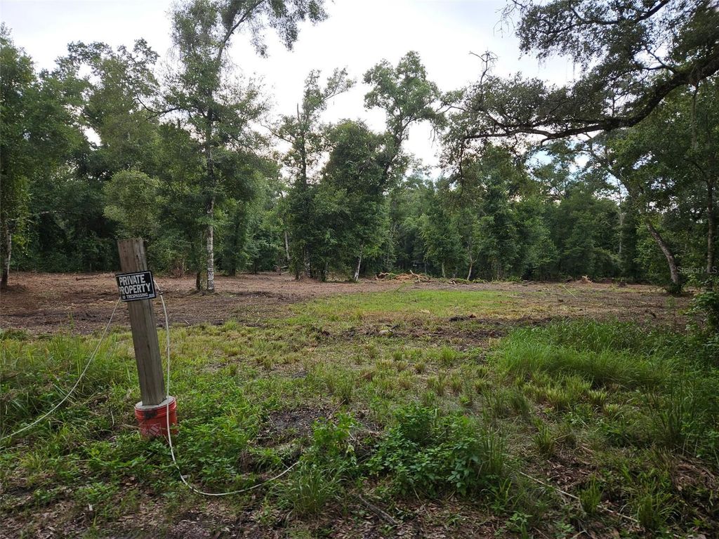 Photo of 40th, Webster, FL 33597 (MLS # G5108297)