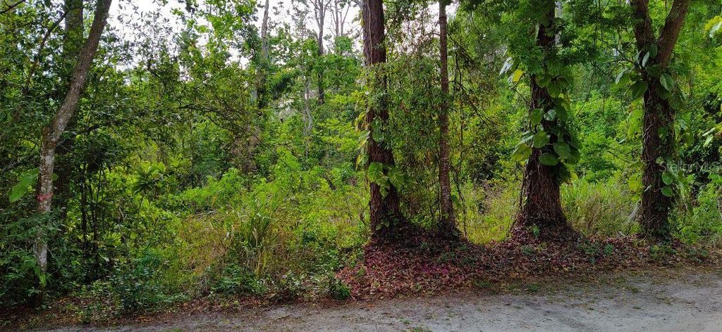 Photo of Marjorie Boulevard, Longwood, FL 32750 (MLS # O6388900)