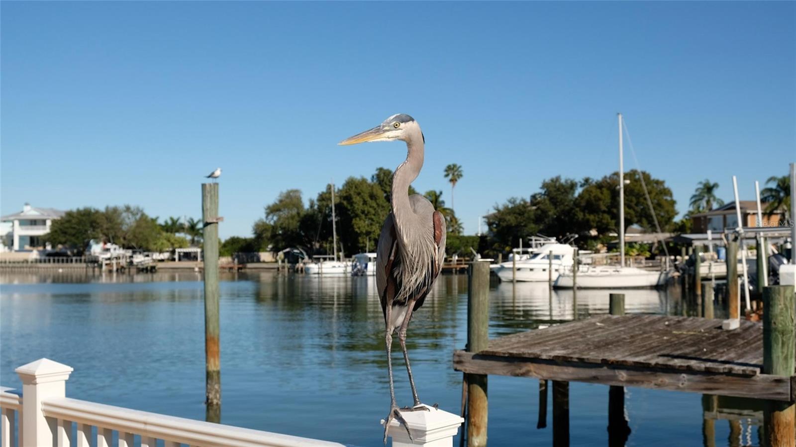 BOCA CIEGA RIDGE 2ND ADD - Residential