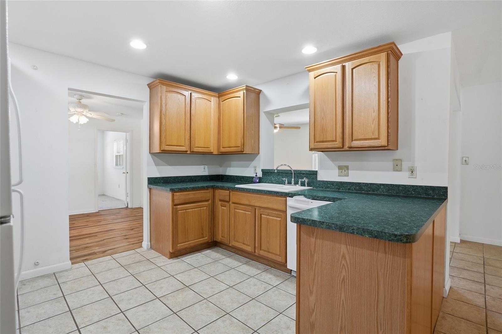 TAMPA DOWNS HEIGHTS - Residential