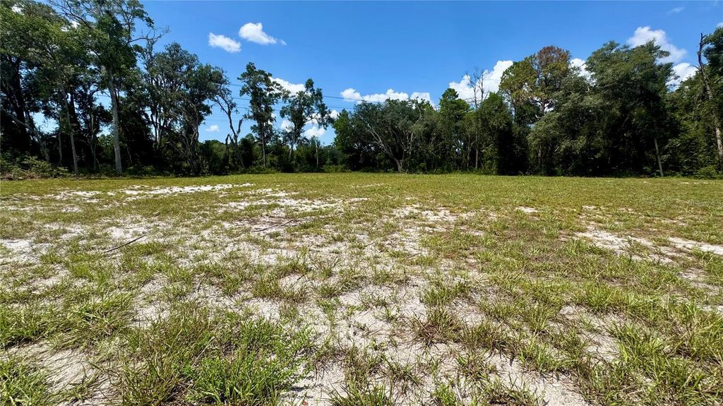 Photo of 4619 E Withlacoochee Trail, Dunnellon, FL 34434 (MLS # OM705941)