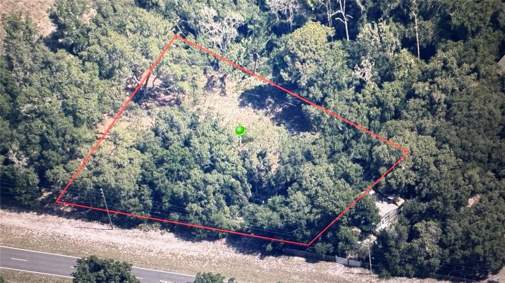 Photo of 4619 E Withlacoochee Trail, Dunnellon, FL 34434 (MLS # OM705941)