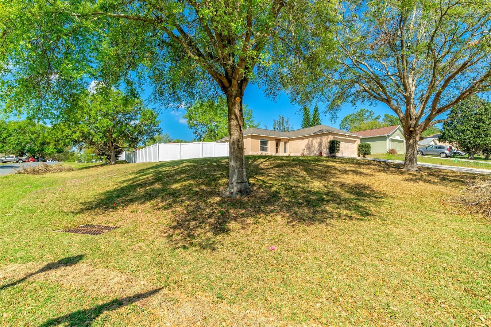 15733 SWITCH CANE STREET