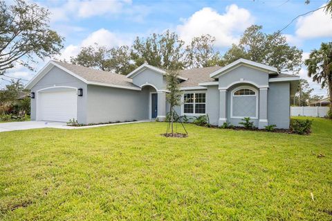 A home in PALM COAST