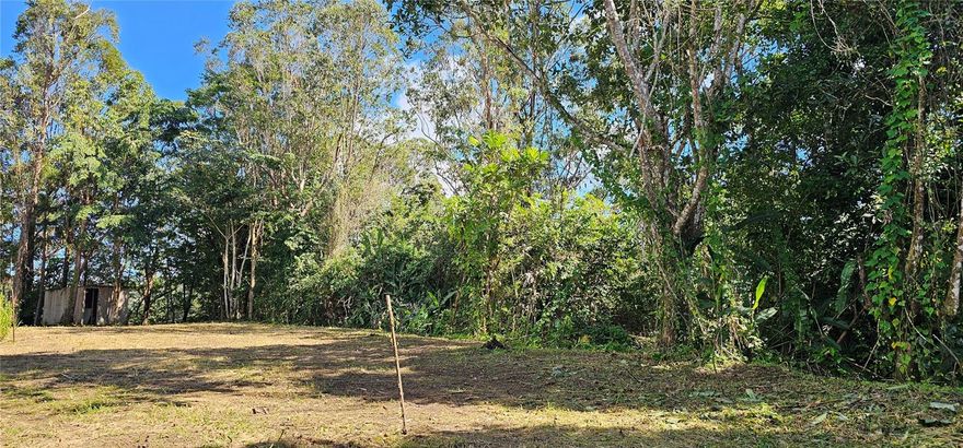Build where tranquility and accessibility meet.

* Las Vegas Ward, Lopez Sector, Cayey.
* 2,023 square meters of land.
* Just 5 minutes from the Guavate exit to the highway.
* Cul-de-sac — privacy and low traffic.

This lot offers the perfect balance of peace, nature, and a strategic location. Ideal for designing the residence you've always dreamed of, with enough space to create something truly special.

Investing in land is investing in vision.