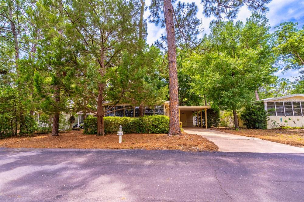 203 N FOREST BOULEVARD