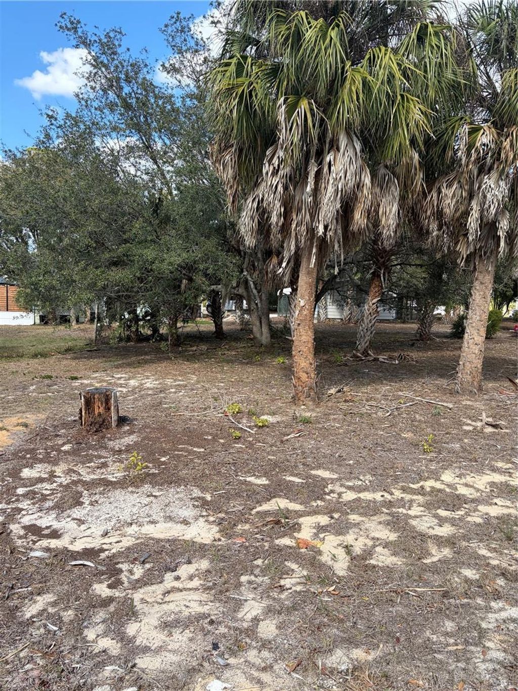 Photo of 0 Fishman Avenue, Weeki Wachee, FL 34607 (MLS # TB8477293)