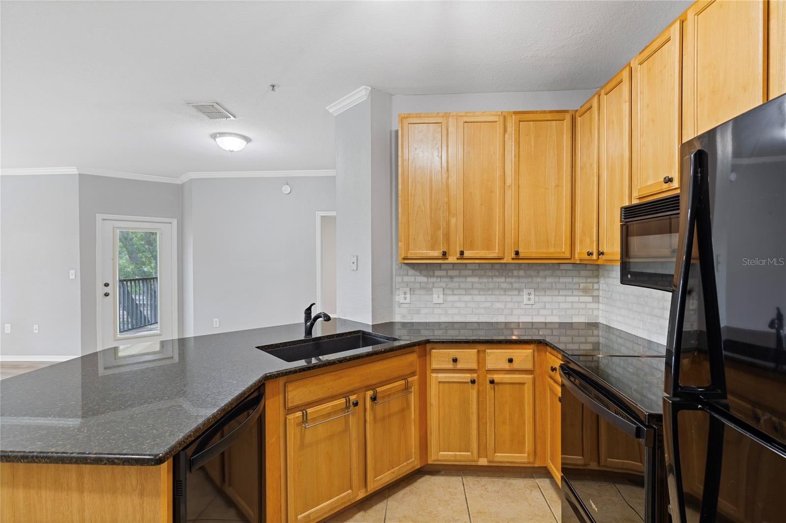 10105 COURTNEY OAKS CIRCLE 203