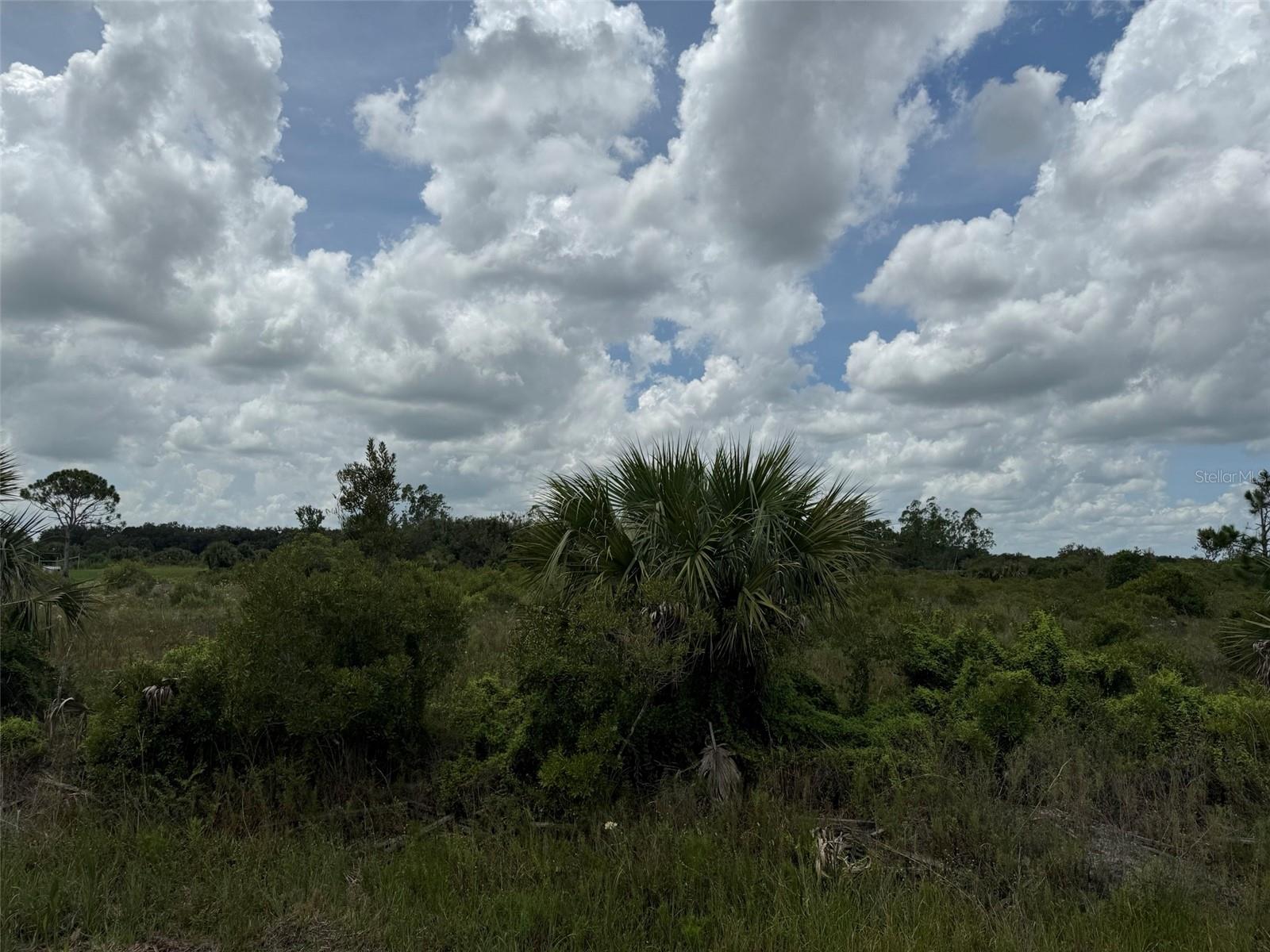 Do not miss out on this spacious 2.5-acre parcel located in the peaceful and rural Prairie area. This is the perfect opportunity to build your dream home, place a mobile or manufactured home, or invest in future development. With no HOA, you’ll enjoy the freedom to create the lifestyle you’ve been dreaming of. The property is zoned for both residential and agricultural use, making it ideal for homesteading, recreational use, or a weekend retreat. Enjoy quiet country living while still being just a short drive from downtown Okeechobee, shopping, and Lake Okeechobee. Whether you're a builder, investor, or nature lover, this is a great opportunity to secure your own piece of Florida.