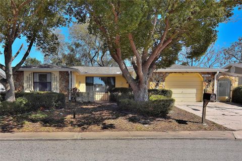 Photo of 9310 Mark Twain Lane, Port Richey, FL 34668 (MLS # TB8480503)