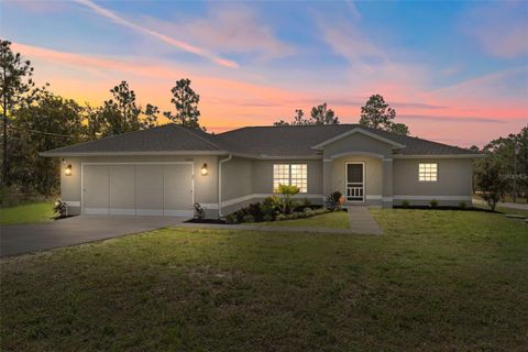 Photo of 13182 Spruce Grouse Avenue, Brooksville, FL 34614 (MLS # W7880218) Photo of 13182 Spruce Grouse Avenue, Brooksville, FL 34614 (MLS # W7880218)