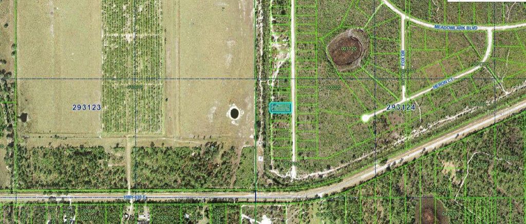 Photo of 1251 Pinnata Drive, Indian Lake Estates, FL 33855 (MLS # O6298081)