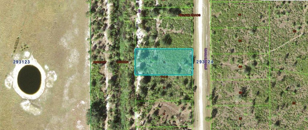 Photo of 1251 Pinnata Drive, Indian Lake Estates, FL 33855 (MLS # O6298081)
