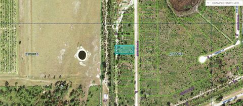 1251 PINNATA DRIVE INDIAN LAKE ESTATES FL 33855