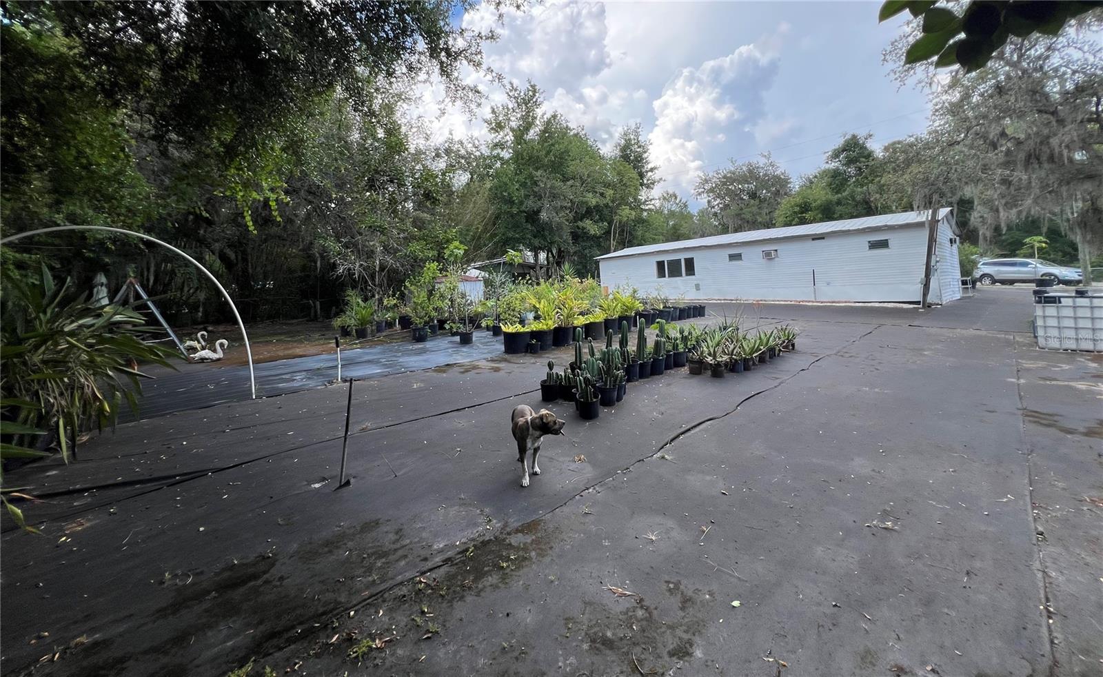 RARE OPPORTUNITY IN EUSTIS, FL – NO HOA, NOT IN A FLOOD ZONE, AND MOVE-IN READY! This property at 40431 Country Rd, Eustis, FL 32736 is a fantastic find for both investors and families seeking privacy, space, and peaceful country living without restrictions. Situated on a fully fenced 0.24-acre lot, this charming manufactured home features 2 bedrooms and 1 bathroom, a spacious family room, and elegant French doors that open to a large screened front porch—perfect for relaxing and enjoying Florida’s outdoor lifestyle year-round. There's no homeowners association (NO HOA), no flood zone concerns, and the home runs on well water, meaning no water bills! The well pump is brand new, plumbing has been updated, and there’s a sprinkler system installed in both the front and back of the property—ideal for keeping plants or a fresh lawn thriving. A black garden tarp is already in place to prevent weeds, and can be used for new planting. The home also features newly installed electronic brakes, improved interior lighting, and a repaired roof. Paved roads lead to the property, and the lot offers plenty of space for RVs, boats, animals, gardening, or simply enjoying the outdoors. A backyard shed provides additional storage. Located just 12 minutes from DeLand, 25 minutes from charming Mount Dora, 35 minutes from Sanford International Airport, 50 minutes from Daytona Beach, and about 55 minutes from world-famous theme parks like Disney, Universal Studios, and SeaWorld. It’s also just minutes from the St. Johns River and a public marina with boat ramp access—perfect for boating and fishing enthusiasts. Don’t miss out on this peaceful, well-located gem with room to grow and freedom to live your way. Schedule your showing today!