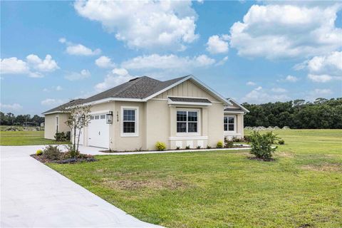 Tiny photo for 1439 Cr 212, Oxford, FL 34484 (MLS # G5112322)