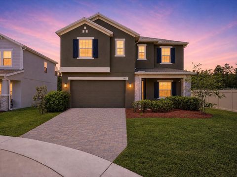 Photo of 1861 Black Maple Place, Ocoee, FL 34761 (MLS # O6405415)