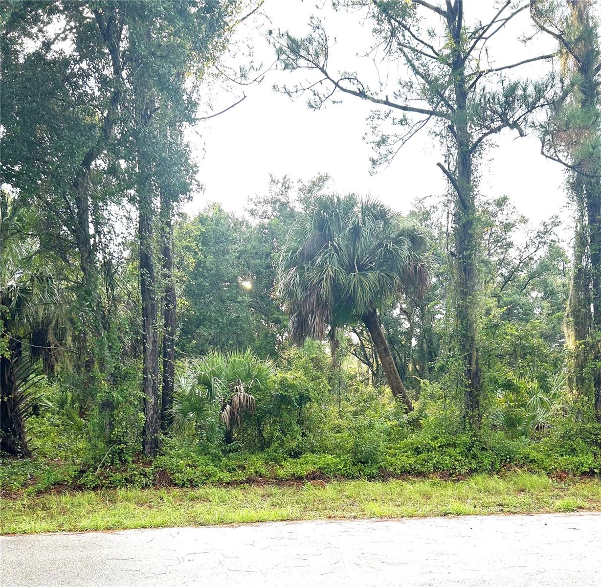 Great Residential Lot in convenient location with NO HOA and no CDD -and priced to sell! Just a few lots south of HILLSBOROUGH BLVD near RAVENSWOOD BLVD. Close enough to shopping, banking, many dining and entertainment options, and Charlotte Mall, but far enough to be a nice quiet street. This lot is also in a "X" ZONE, meaning no flood insurance is required, saving you considerable money in insurance costs year after year! Plus this lot is NOT in protected 'scrub jay' zone ~saving you permitting money when you build! Standard Size lot: 80 frontage x 125 deep.