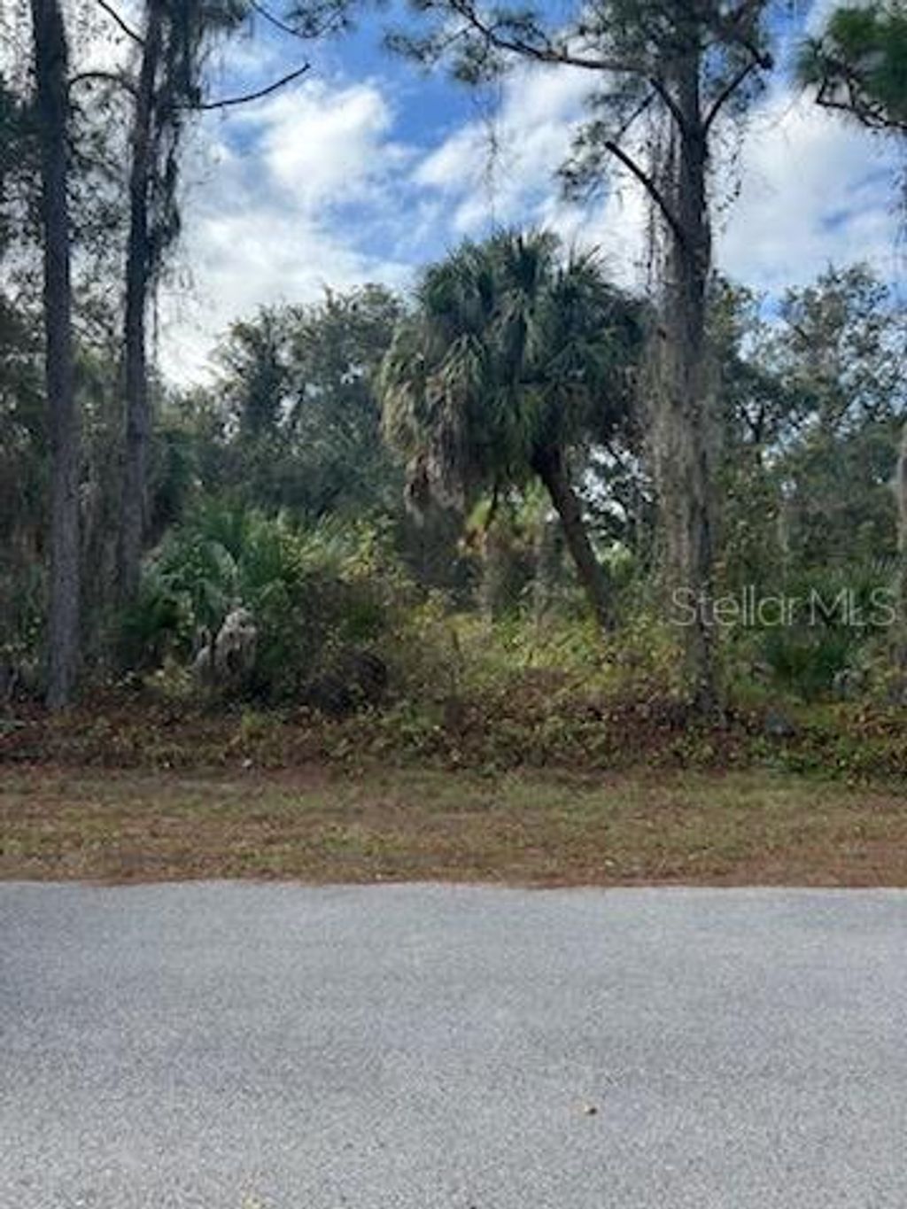 Photo of 27 Musgrove Street, Port Charlotte, FL 33954 (MLS # C7514188)