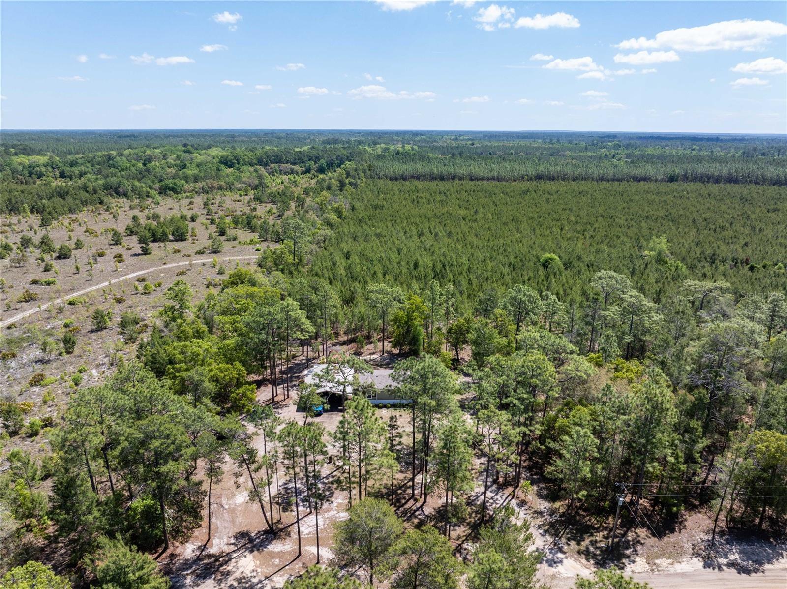 INTERLACHEN LAKE ESTATES - Residential