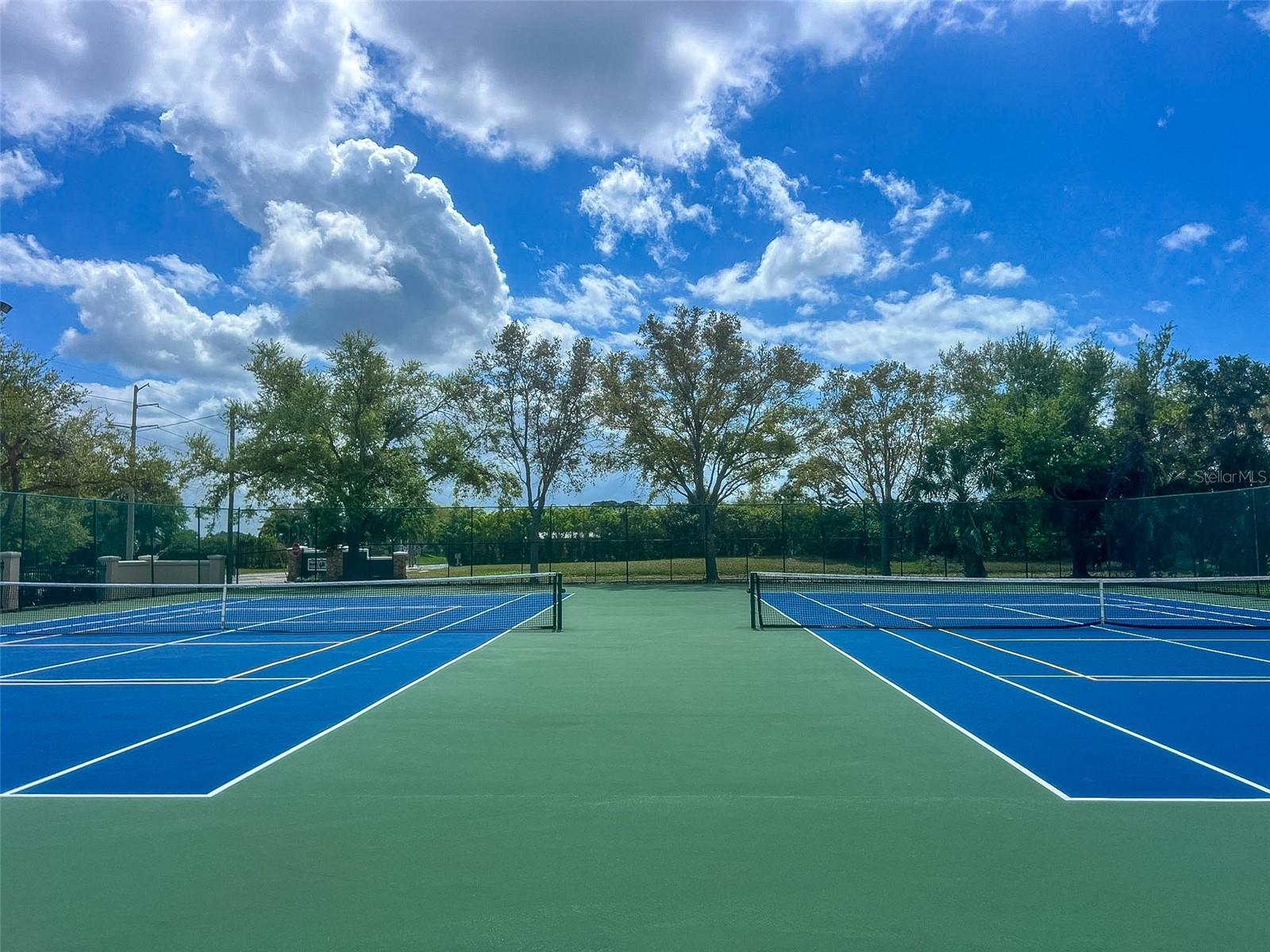 THE PALMS OF CORTEZ - Residential