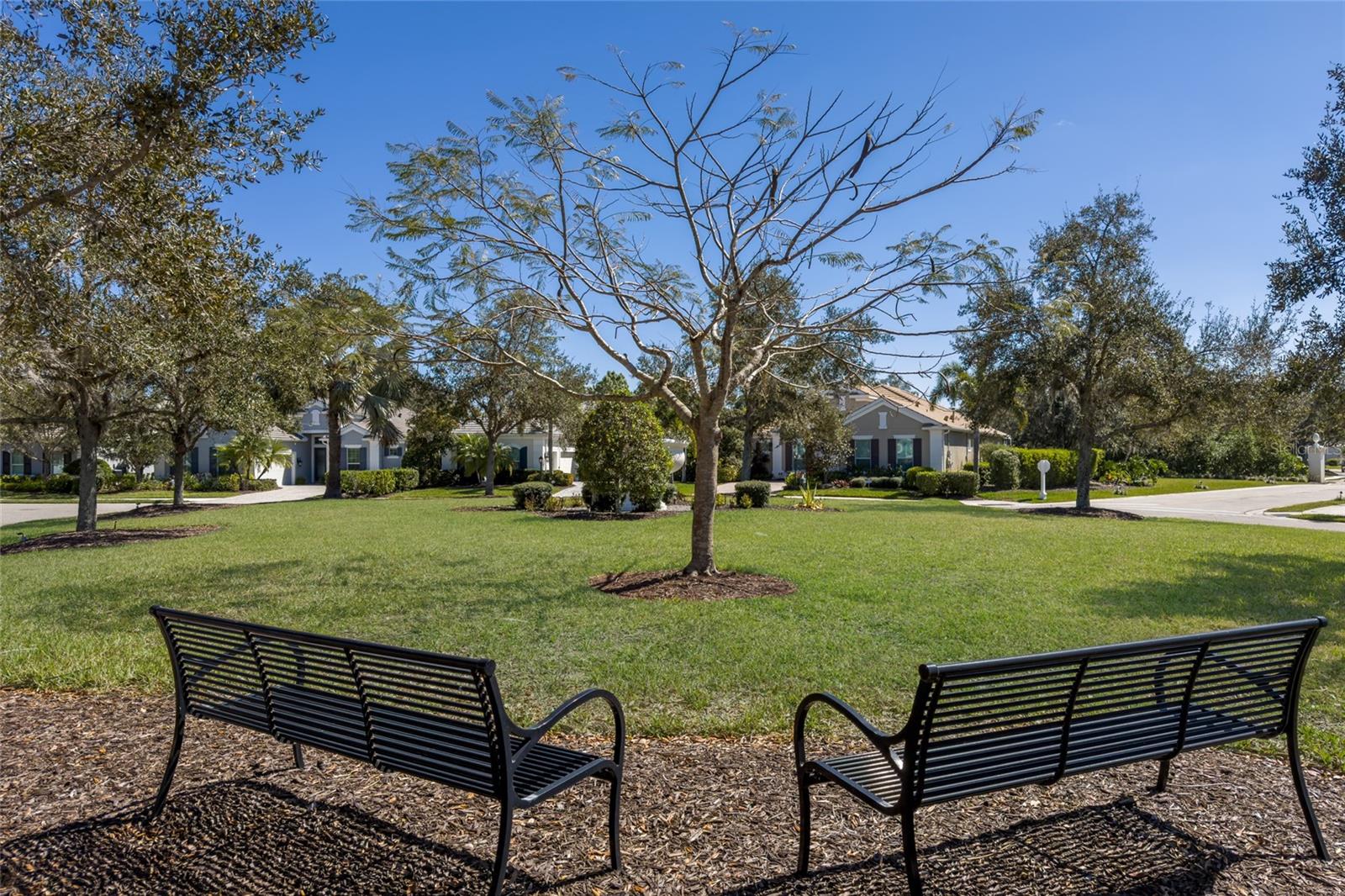 UNIVERSITY PARK - Residential