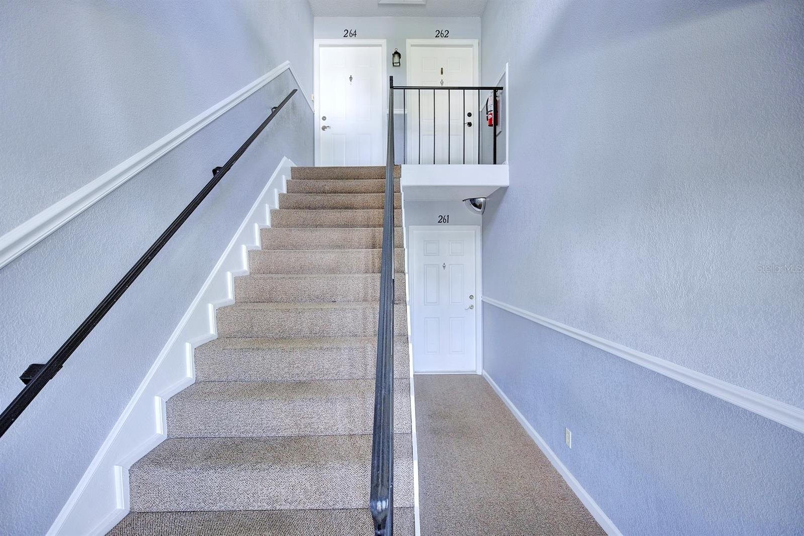 262 LEWFIELD CIRCLE 262