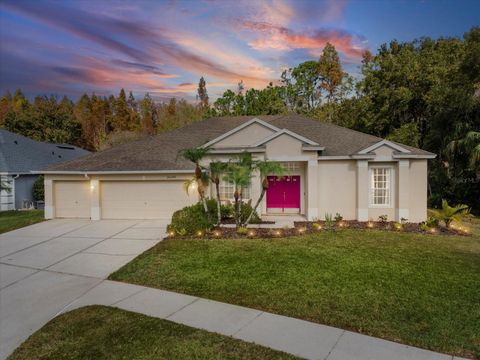 Photo of 26249 Sword Dancer Drive, Wesley Chapel, FL 33544 (MLS # W7881120)