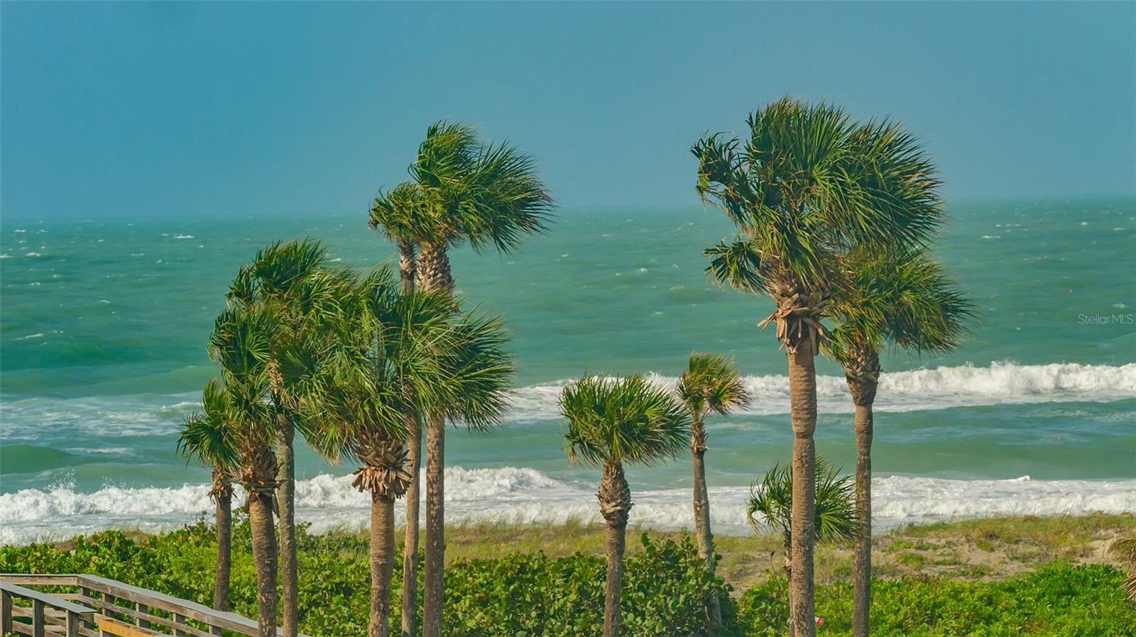 SUNSET BEACH - Residential Lease